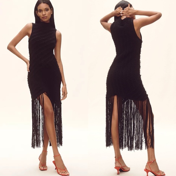 Anthropologie Dresses & Skirts - Anthropologie By Anthropologie Sleeveless Mock-Neck Fringe
Sweater Midi Dress